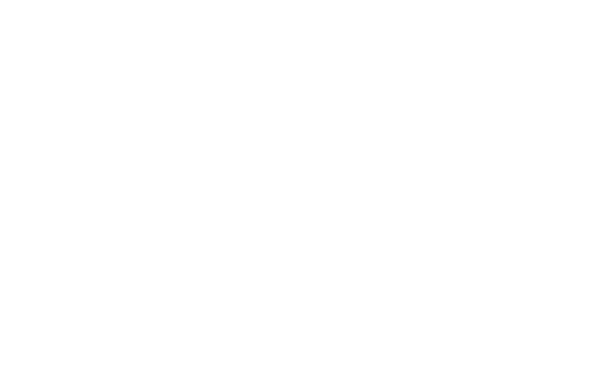 Logo — hvid